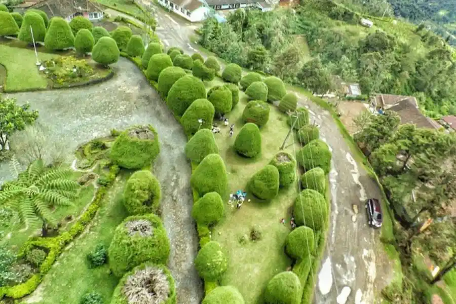 bukit jamur ciwidey dari atas